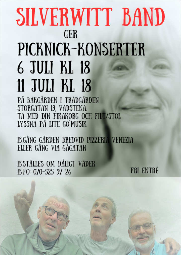 Picknick-konserter med Silverwitt-band