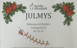 Julmys 2023 på Kolsbro