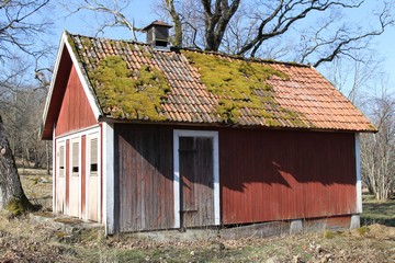 Klohäuschen/Brennholzschuppen. Foto: Bernd Beckmann