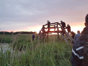 naturum Tåkern: Nattsångartur