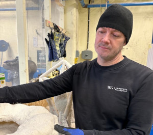 Vadstena Föreläsningsförening: Rickard Damm