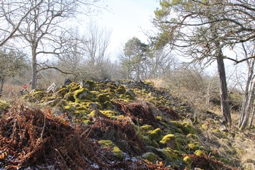 Ommaborgen och andra historiska miljöer på norra Omberg. Foto: Bernd Beckmann