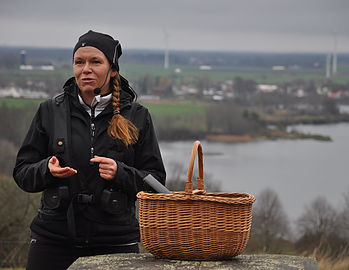 Möt hösten på Omberg