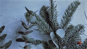 Adventskonsert med kören Ex Animo