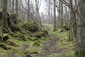 Weg am Borggården. Foto: Bernd Beckmann