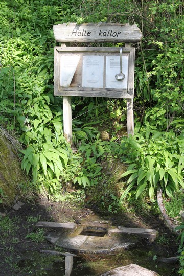 Hälle springs. Photo: Bernd Beckmann