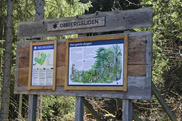 Ombergsliden. Photo: Bernd Beckmann