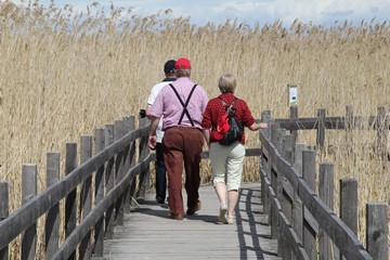 Naturum Tåkern - in the reed sea. Photo: Bernd Beckmann