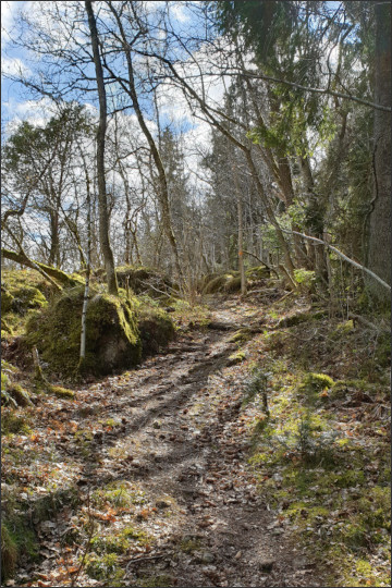 Den Berg hinauf am Getaryggen