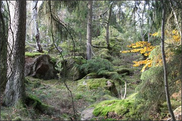 Omberg och istiden