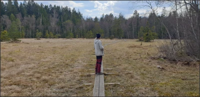 Mörkahålkärret vid Älvarumsleden