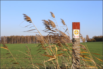 Klosterleden: Wegkreuzung auf der Skedagatan