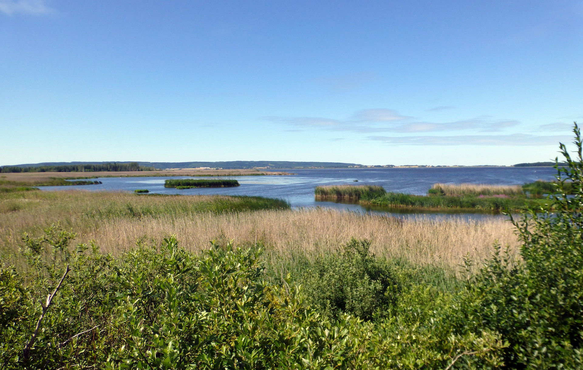 TView over Lake Tåkern. Photo: By Nico-dk (Own work) / Wikipedia