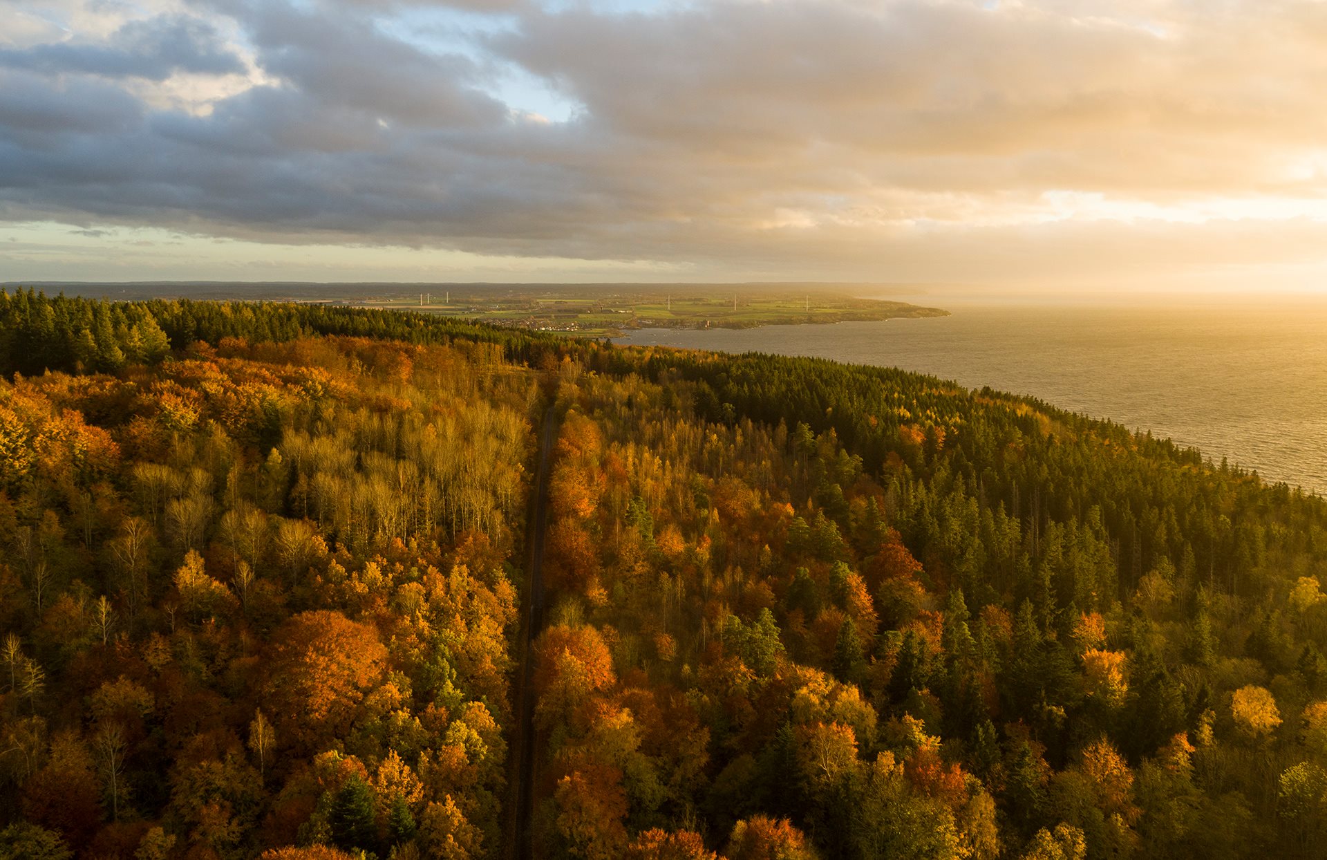 Vy över Omberg i höst. Foto: Nicklas Johansson (NAM)